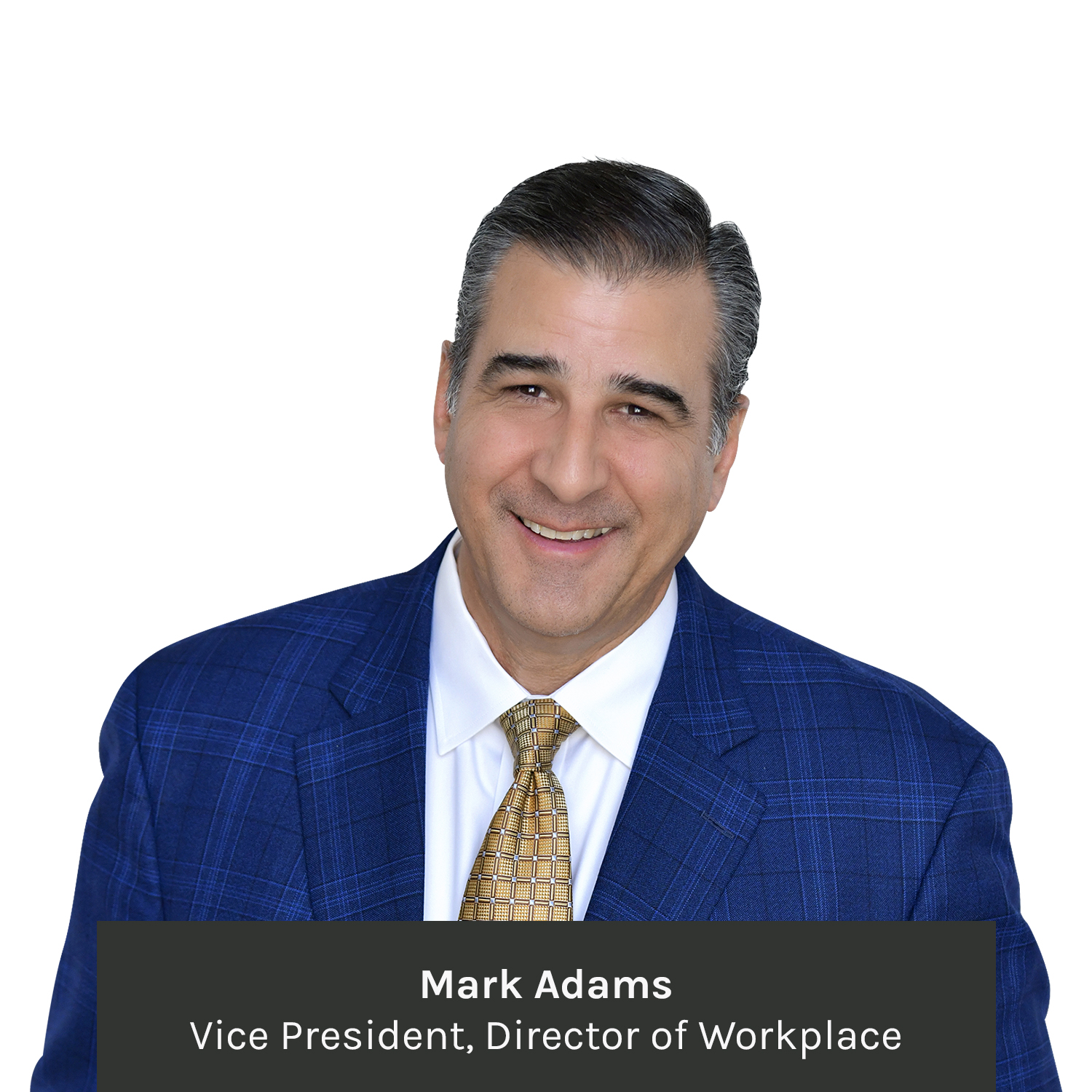 Mark Adams Workplace Page Headshot
